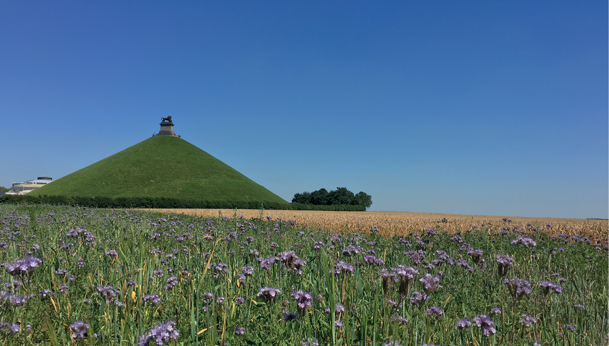 Benieuwd naar de mogelijkheden van onze contractteelten?