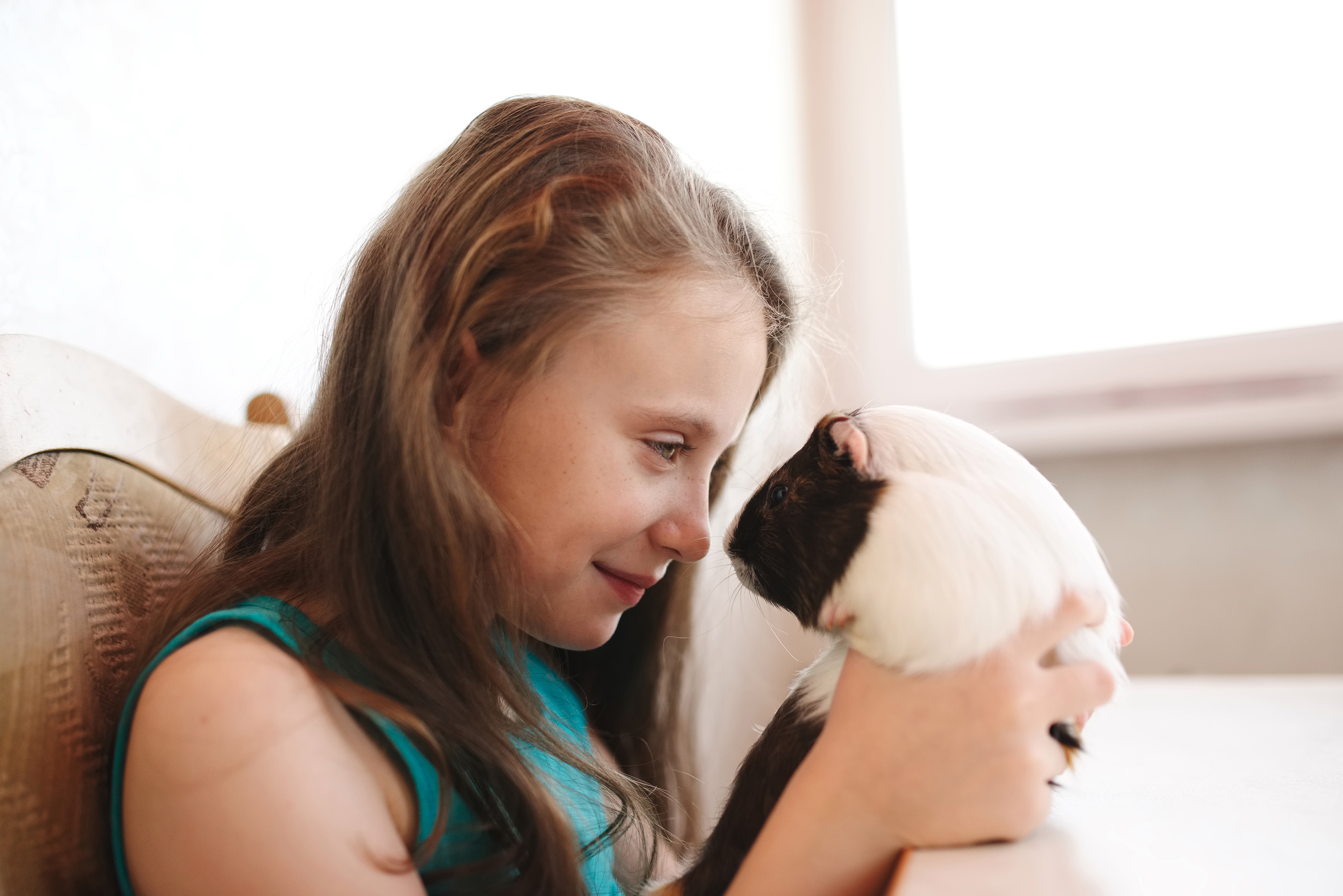 little beautiful girl with guinea pig