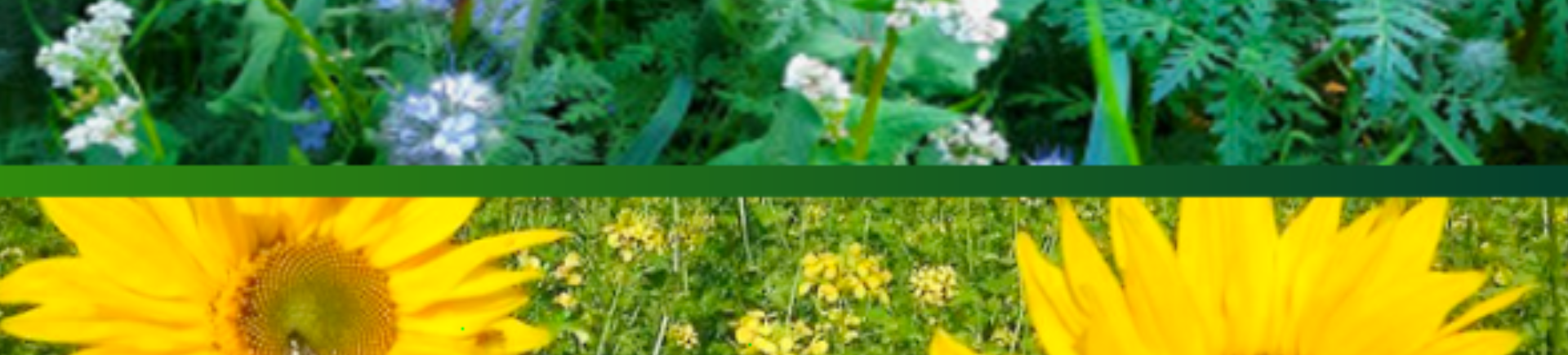 27.03.2026_Nieuwsbrief AH_De belangrijkste ecoregelingen even op een rij 