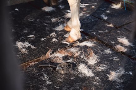 Hero Banner - Ruiperiode