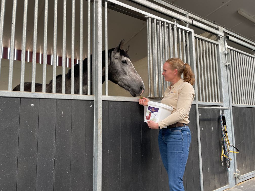 Hero Blocks - Supplements - Image