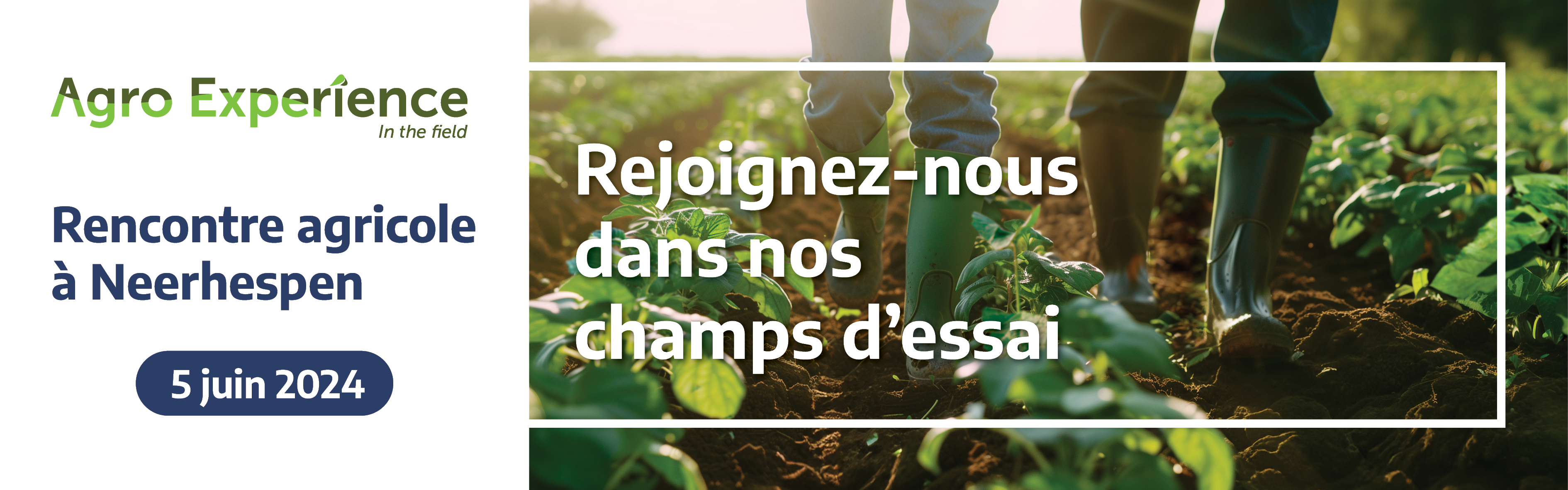 Save-the-date: Agro Experience 2024 - Walagri