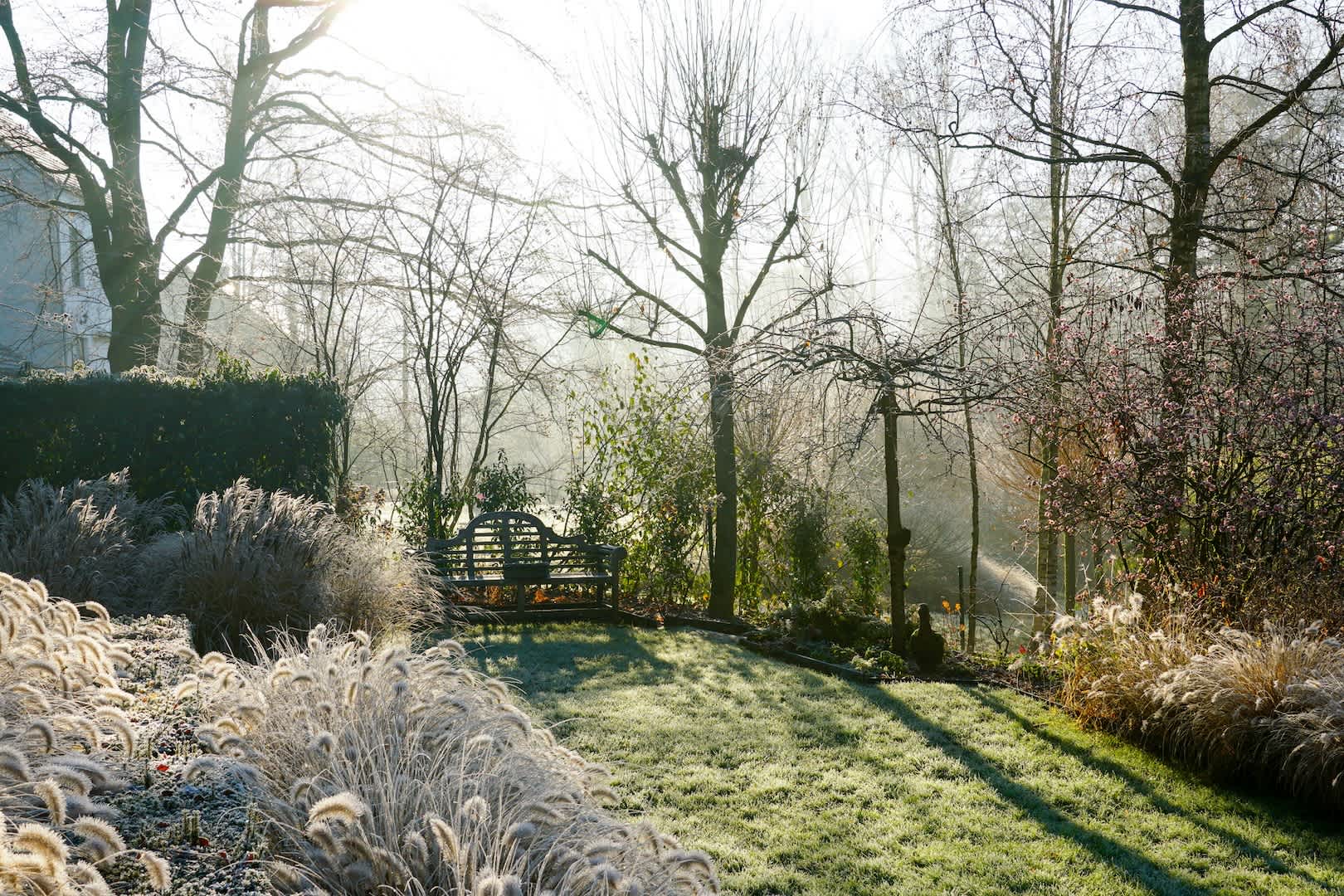 hero image: tuin in de winter