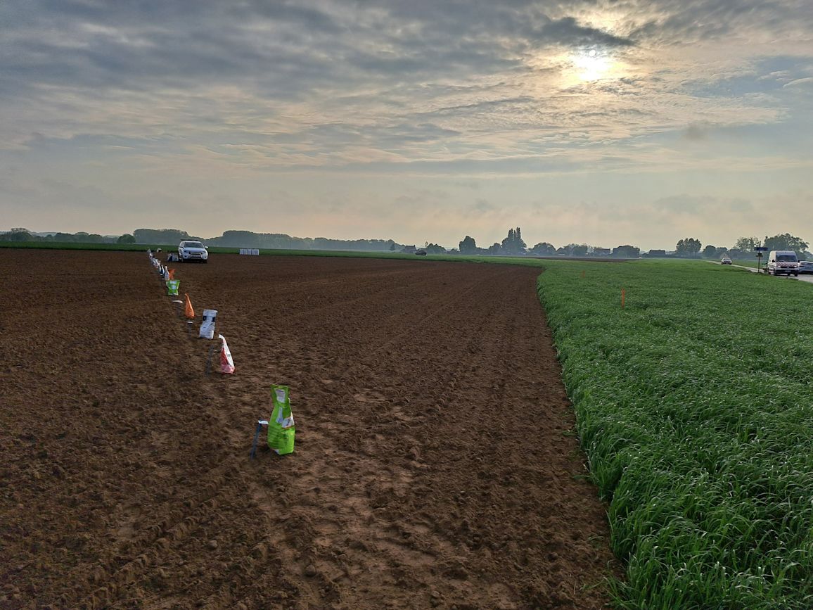 Hero banner proefveld WTD 2025