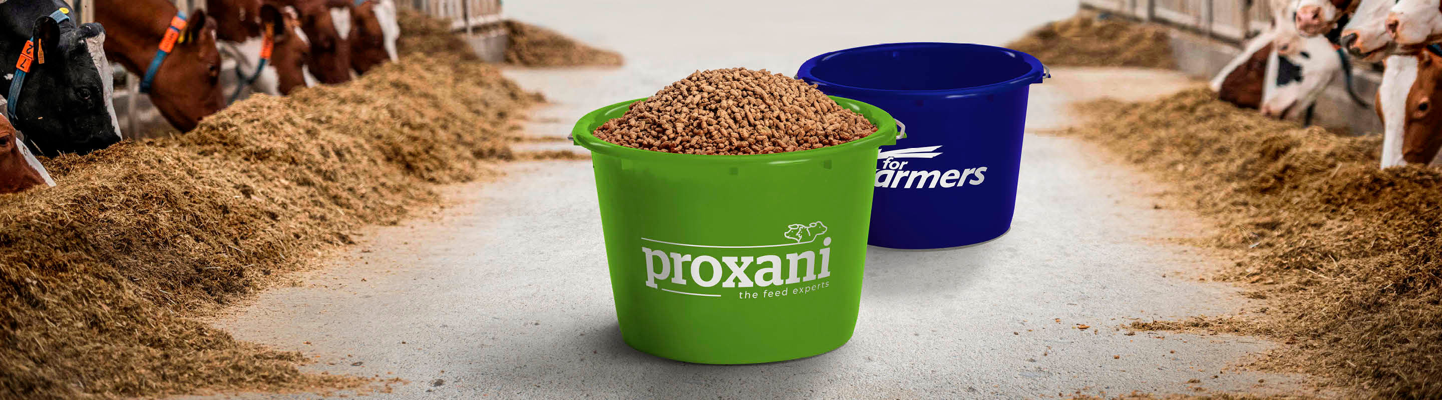 2 emmers in de stal met de logo's van forfarmers en proxani