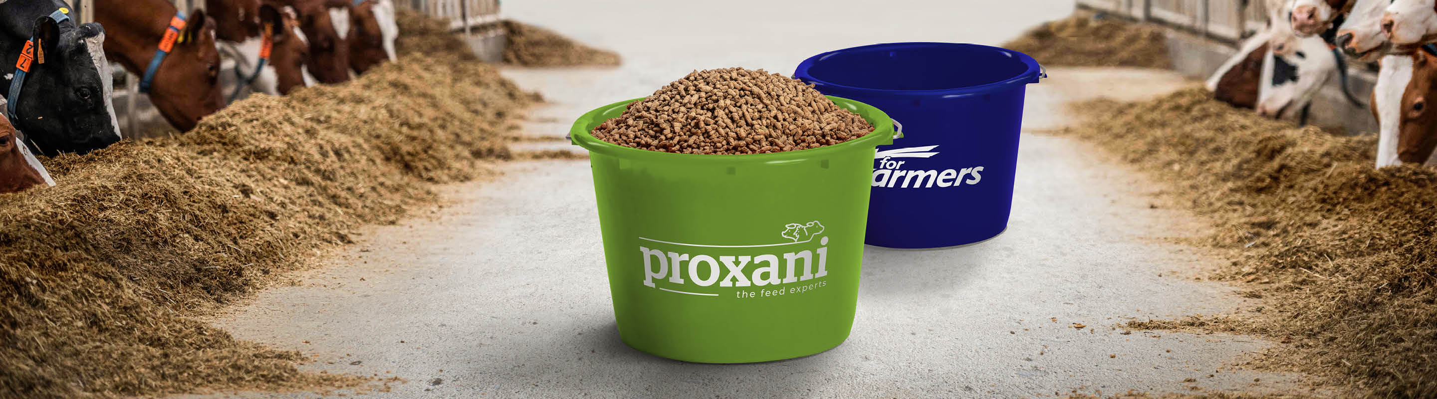 2 Eimer im Stall mit den Logos von forfarmers und proxani