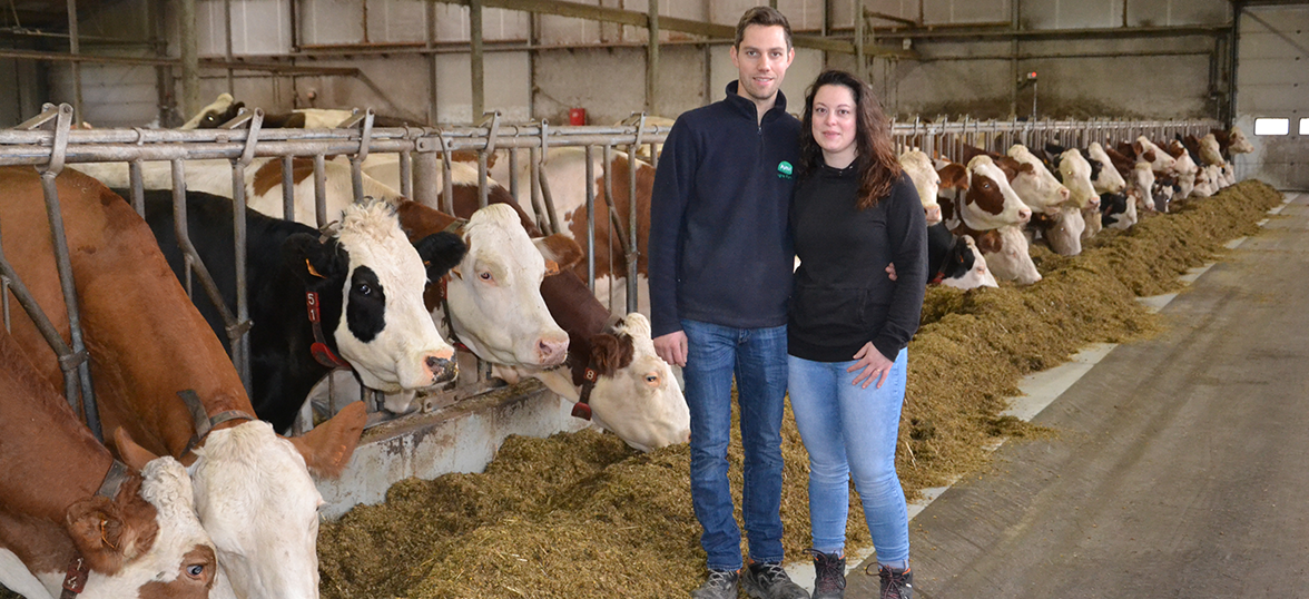 Melkveebedrijf familie Claesen