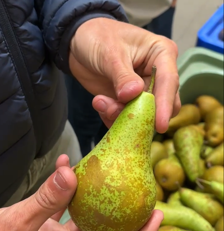 Testimonial SmartFresh 2025