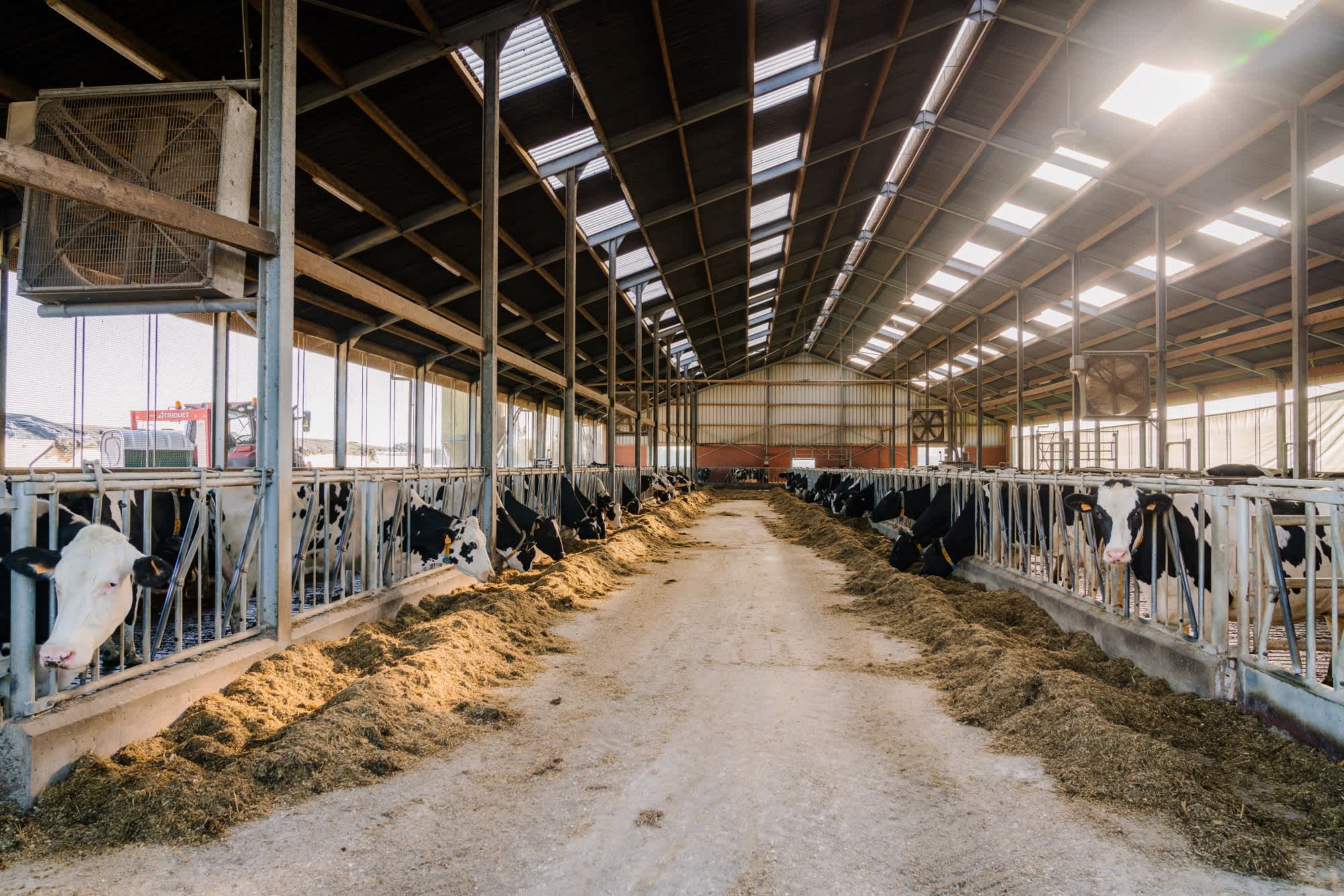 22.01.2025_AN_Nieuwsbrief _ Samenwerking tussen Wespedongen Dairy en Arvesta Animal Nutrition