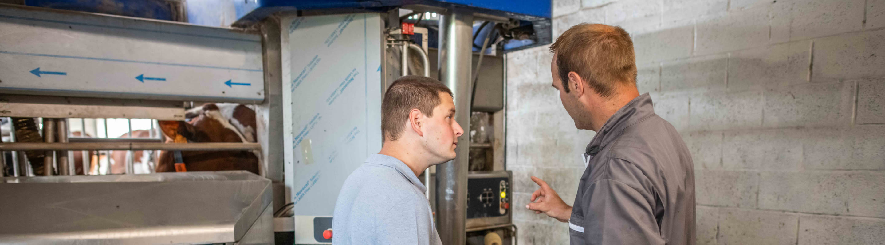 proxani-Experten prüfen gemeinsam Rückgaben