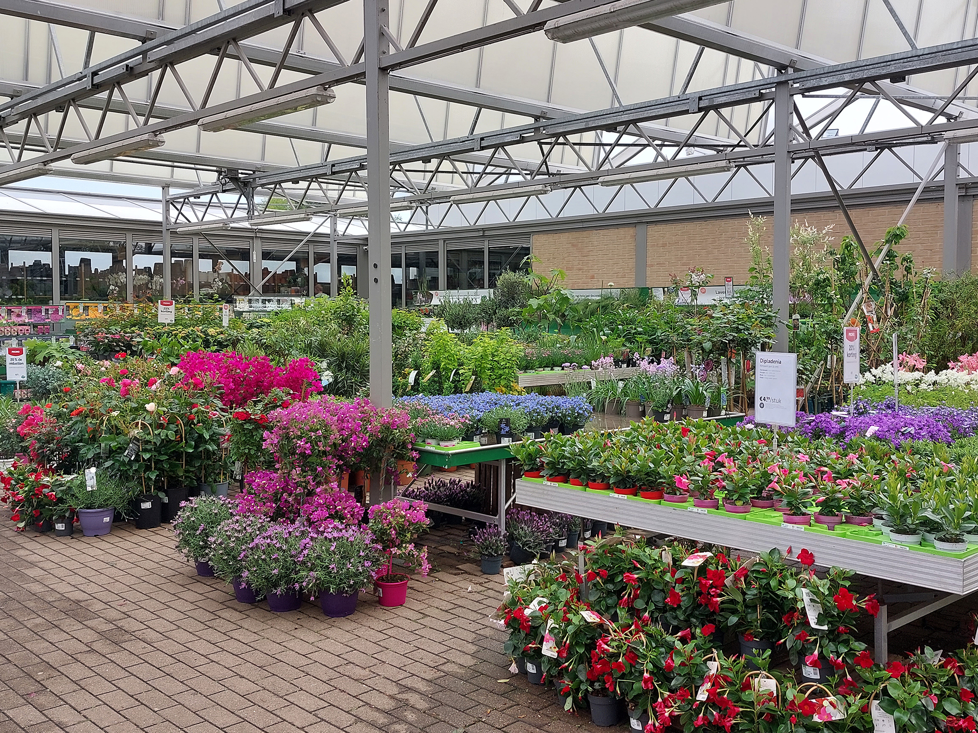 Aveve_winkel_Ronse_outdoor2