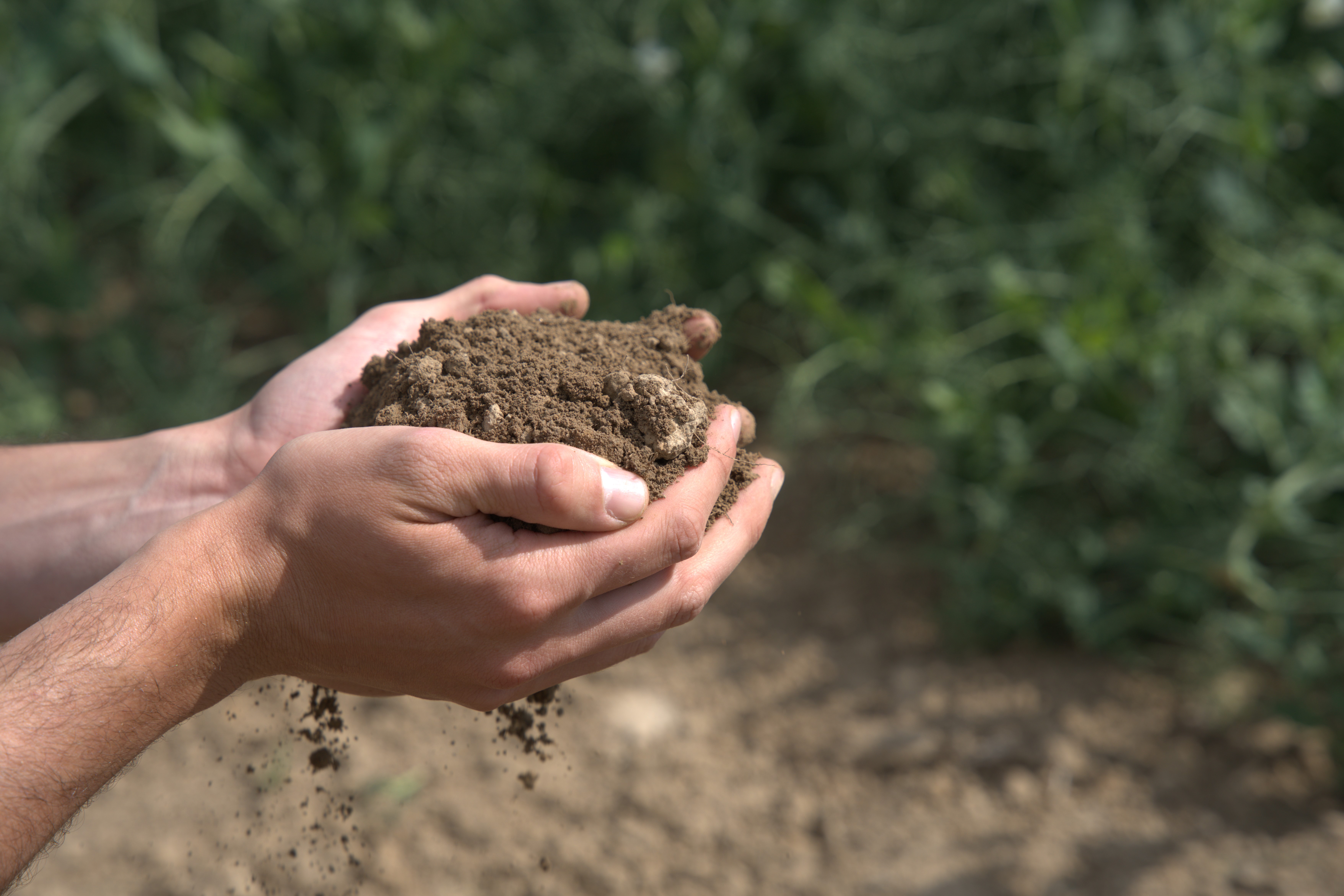 Carbon Farming: bouw aan een vruchtbare én klimaatvriendelijke bodem 