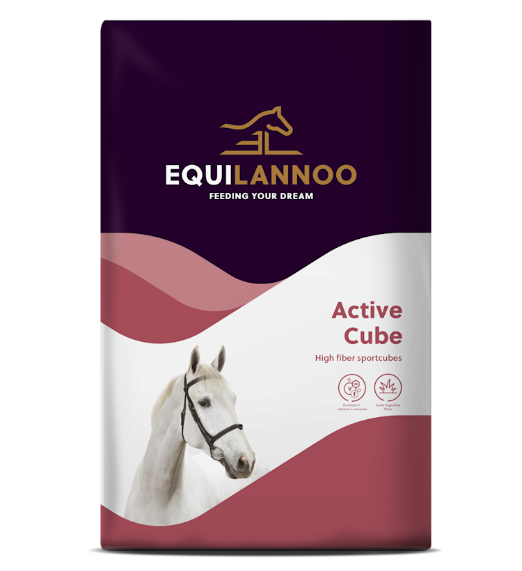 Active Cube packshot