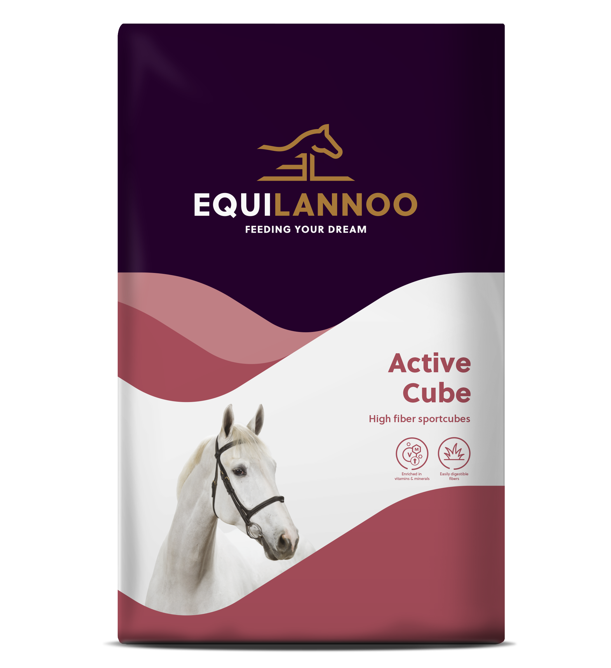 Active Cube packshot