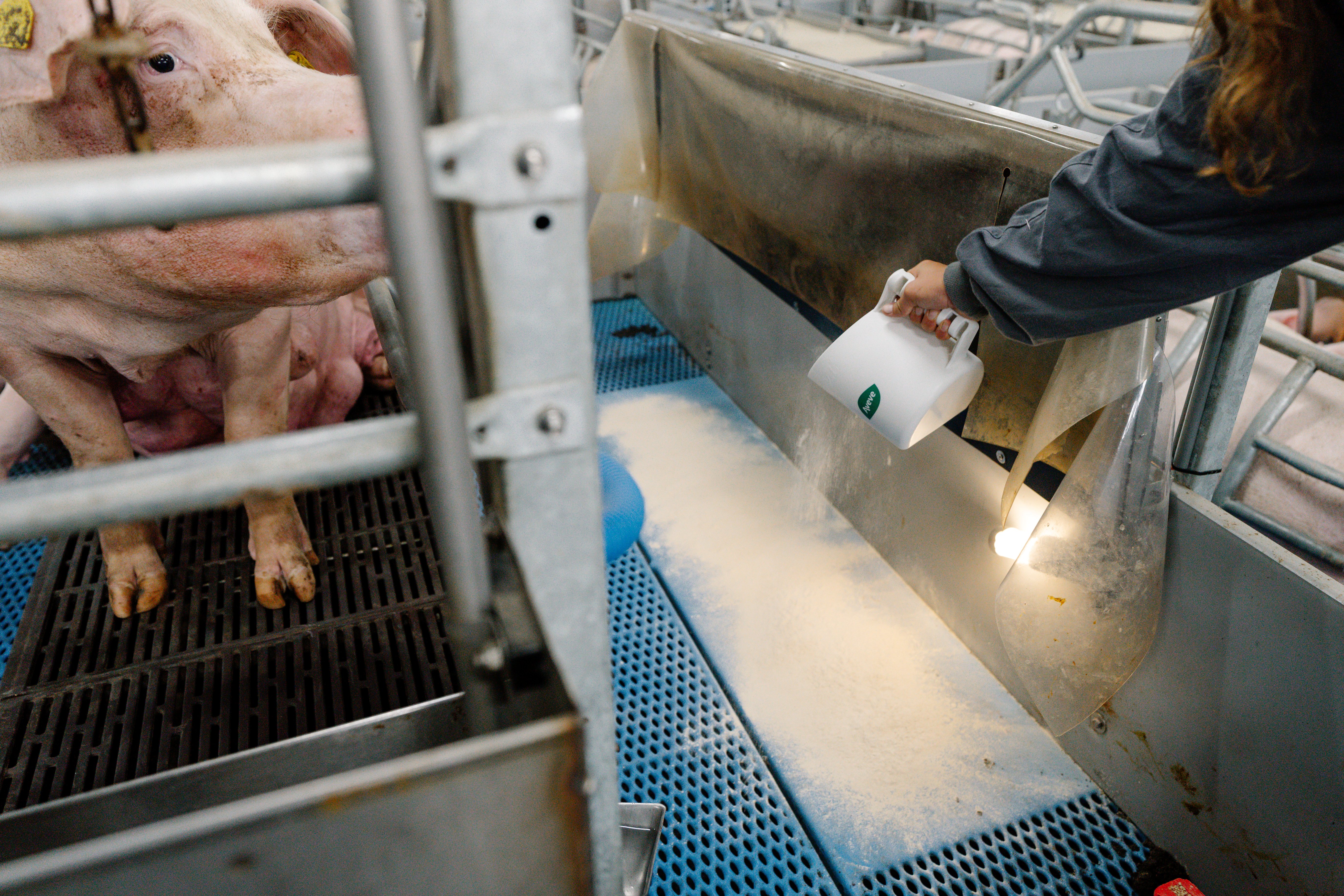 29.10.2025_Nieuwsbrief_AN_Robusta + instrooimiddelen