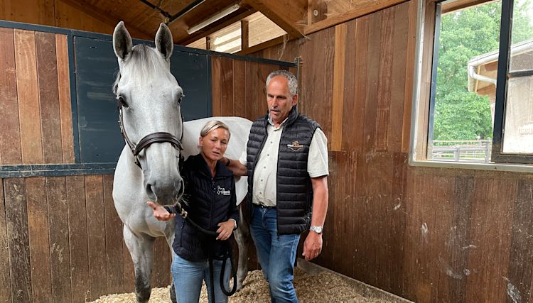 Lassen Sie uns gemeinsam die perfekte Lösung finden!