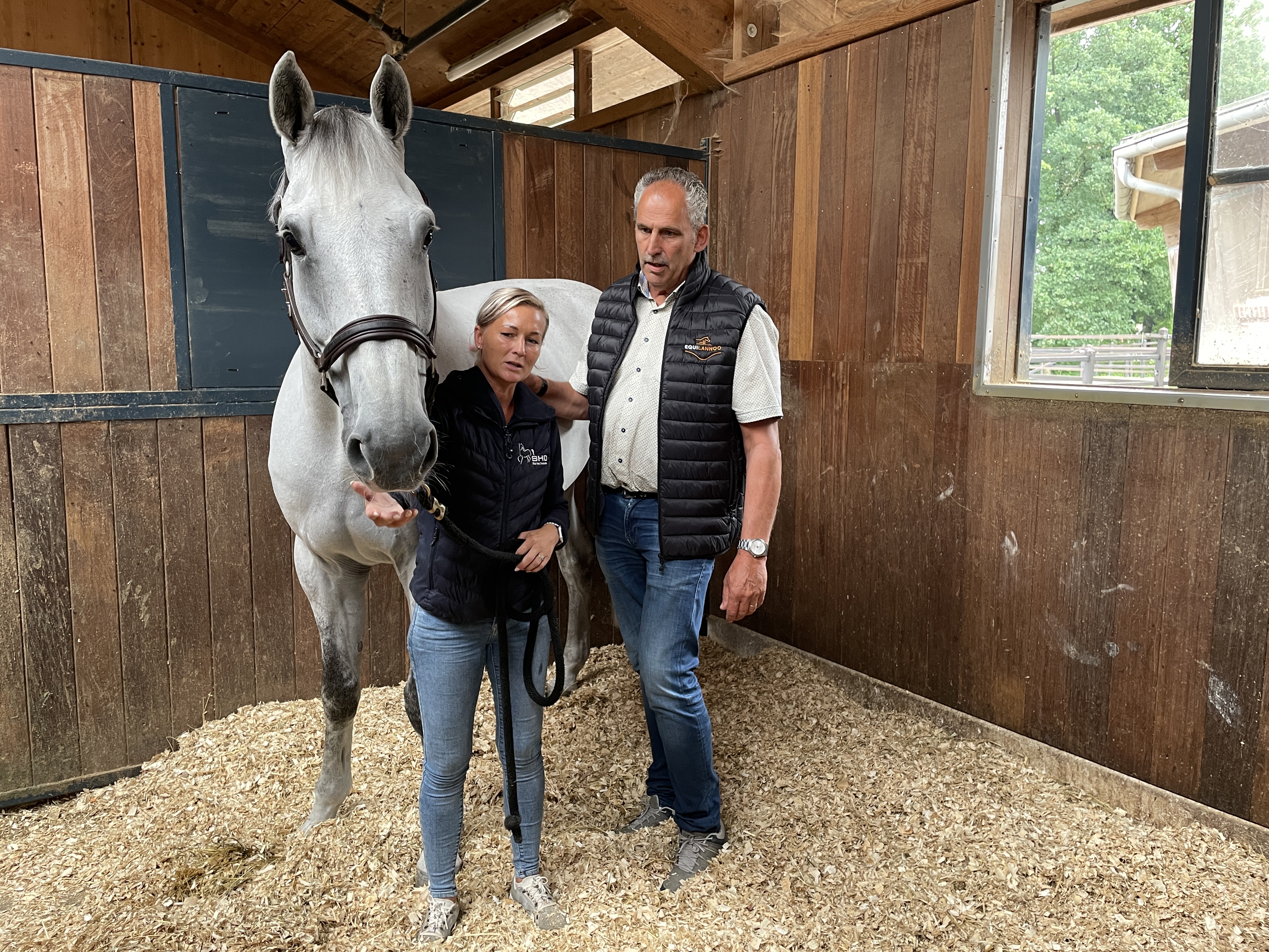 Let's find the perfect solution together!