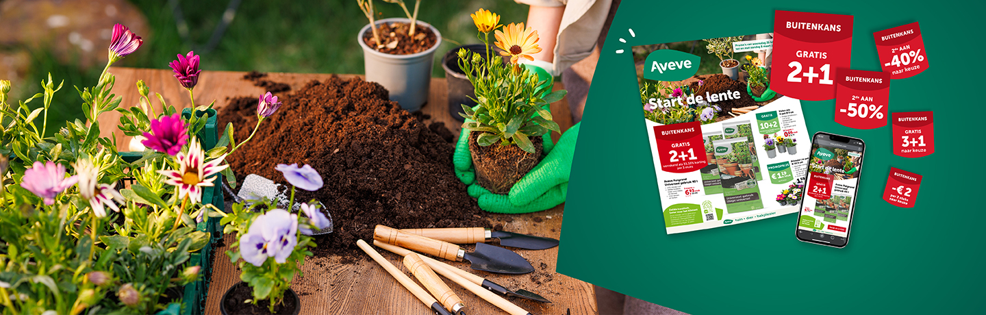 In onze folder ontdek je alle promoties van woensdag 25 februari tot en met zondag 8 maart 2026.