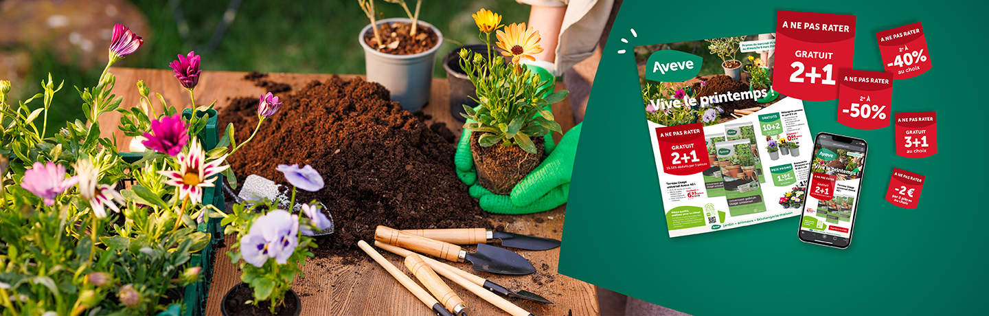 Nos promotions sont valables du mercredi 25 février jusqu'au dimanche 8 mars 2026 inclus.