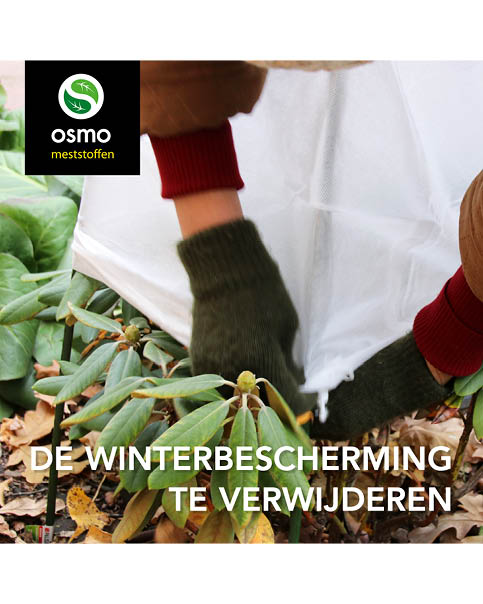 Winterbescherming verwijderen