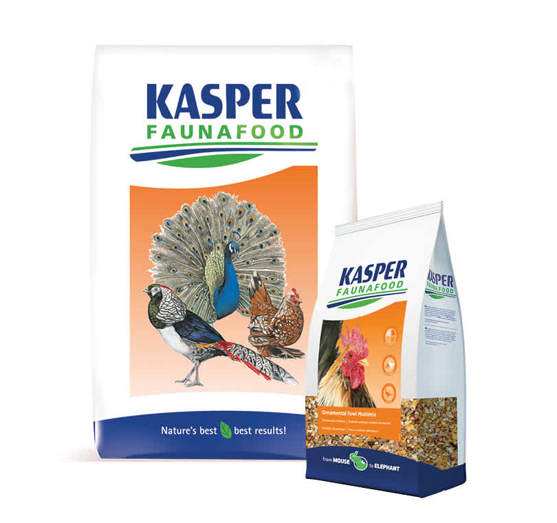 Packshots_Volwassen sierhoenders mix en gemengd graan