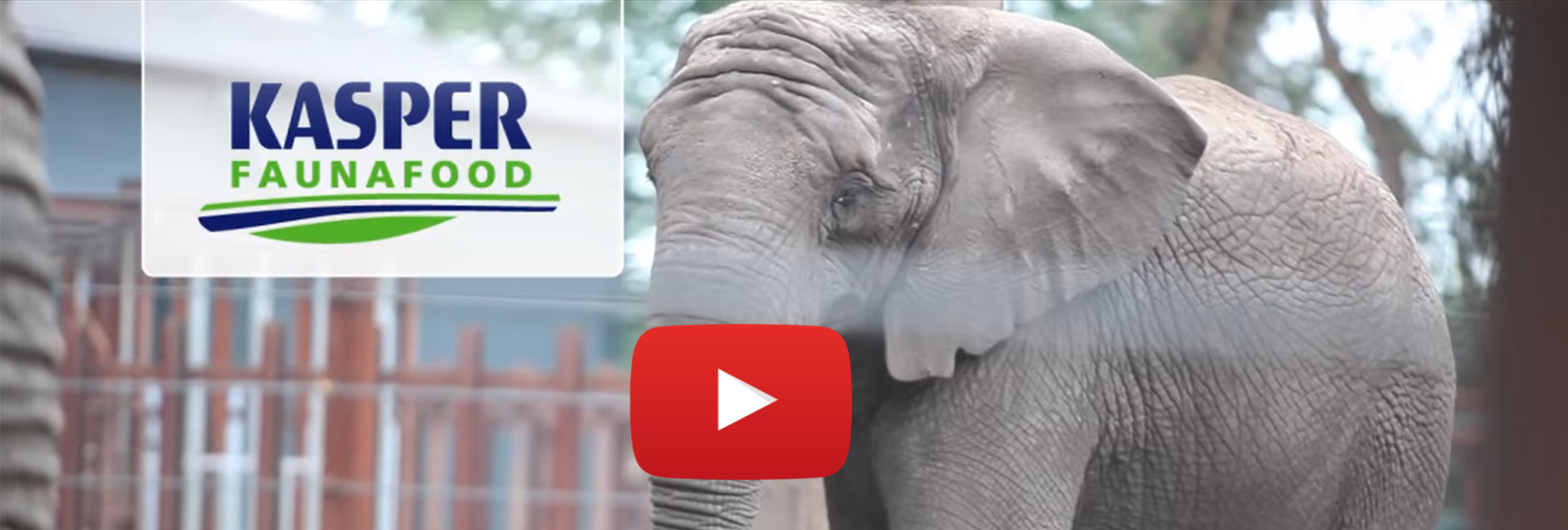 corporate movie visual