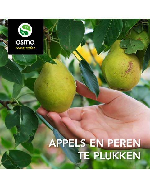 Appels en peren plukken