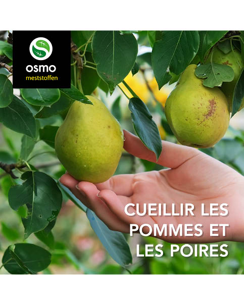 Appels en peren plukken