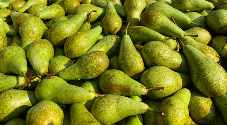 Fruitsmart nu ook op peren