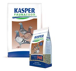 Kasper Faunafood Postduiven P40