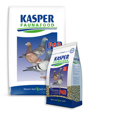 Kasper Faunafood Postduiven P40