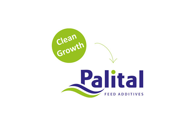 Clean Growth