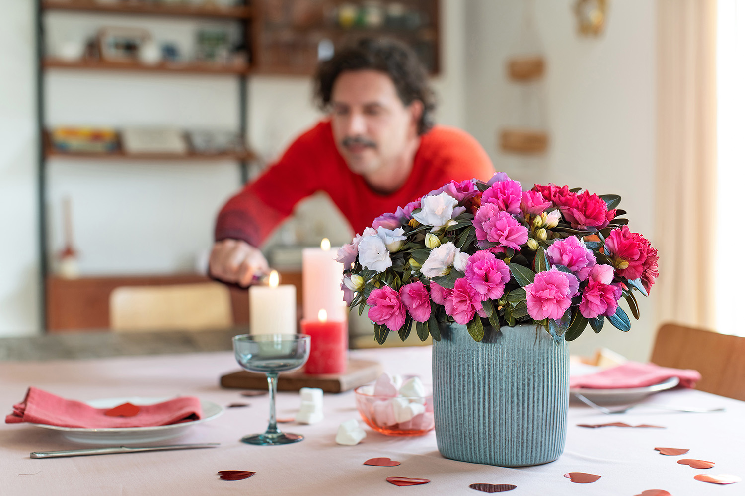 Een man steekt kaarsjes aan op een feesttafel met een groene azalea in een grijze bloempot op de voorgrond. - Aveve