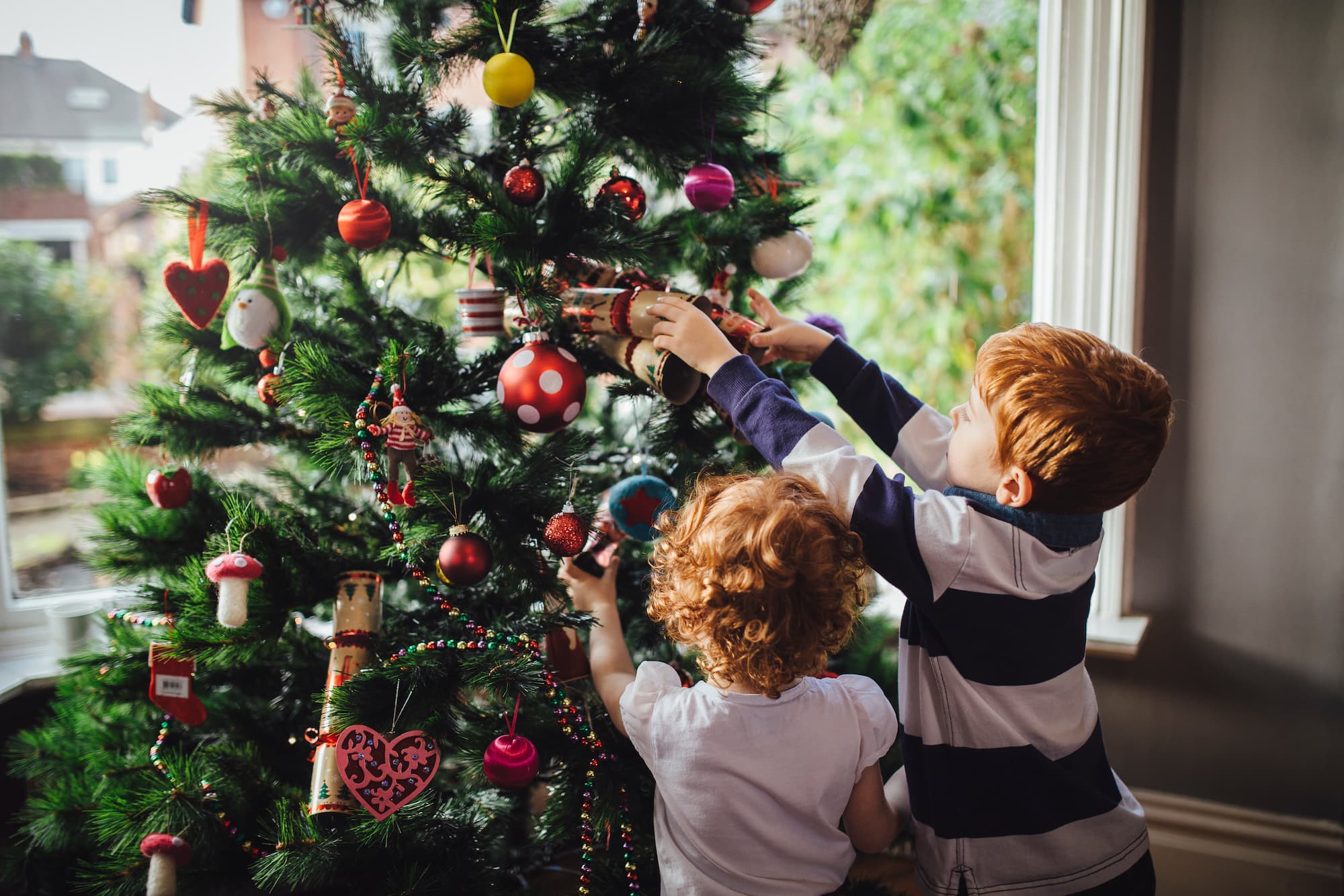 Boules de Noël dans l'arbre de Noël - Aveve