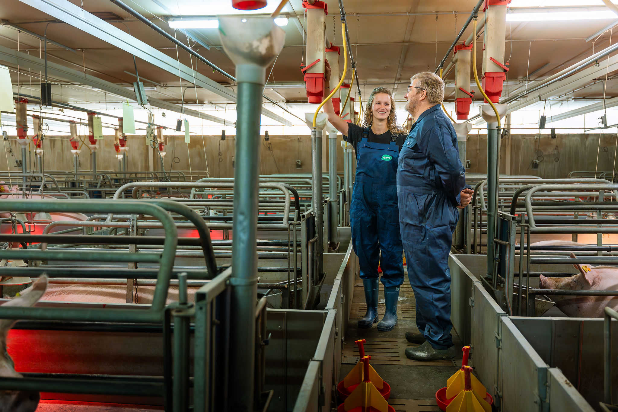 16.12.2025_Nieuwsbrief_AN_Conditieherstel en -opbouw van zeugen