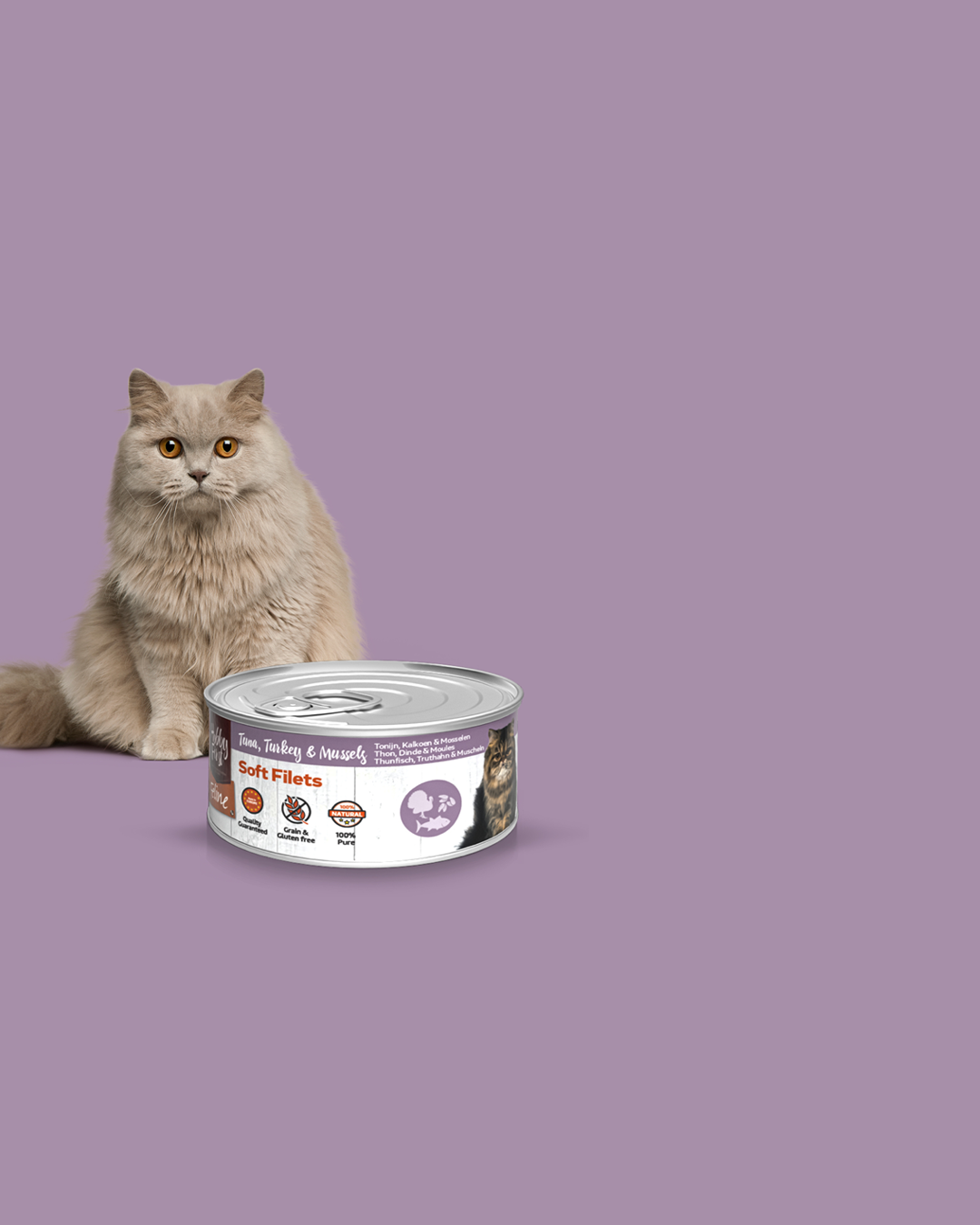 Perfekt in Kombination mit Feline Soft Filets!