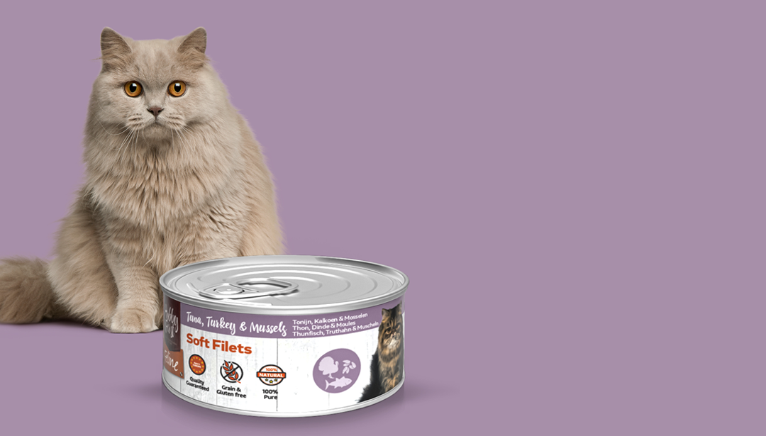 Perfekt in Kombination mit Feline Soft Filets!