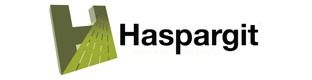 Haspargit logo 968x250px