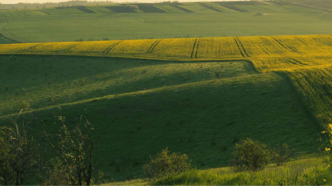 Engrais composés & Bulks