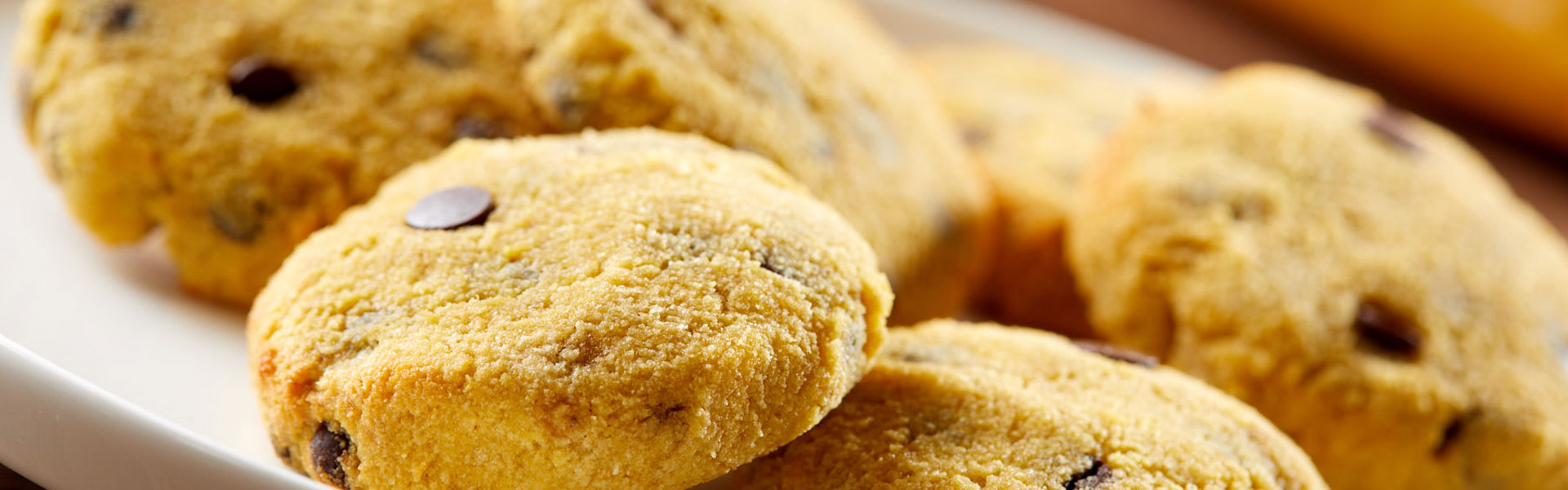 Kokos-chocoladekoekjes_1920x600