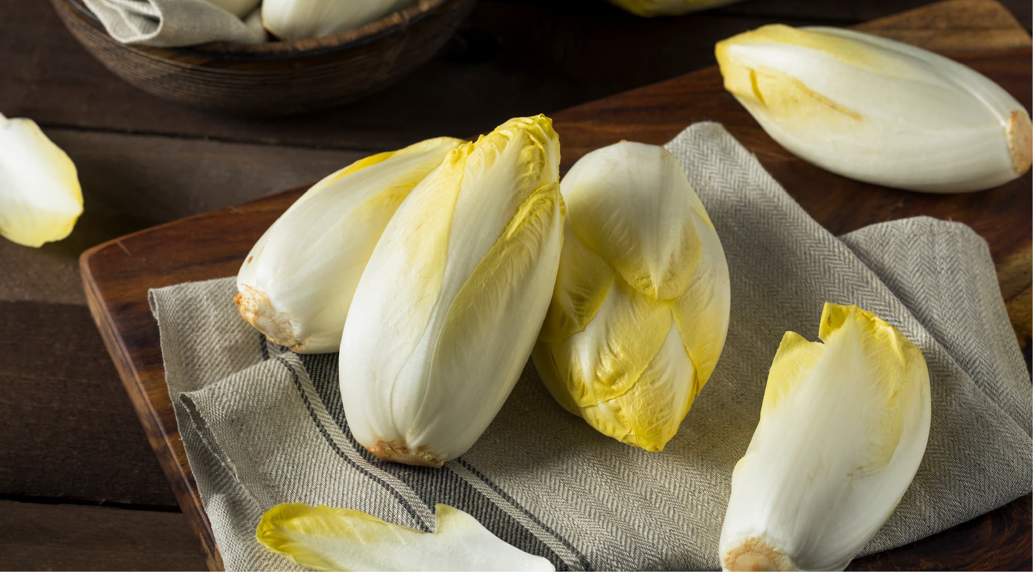 Sanac Chicorée 968x536px