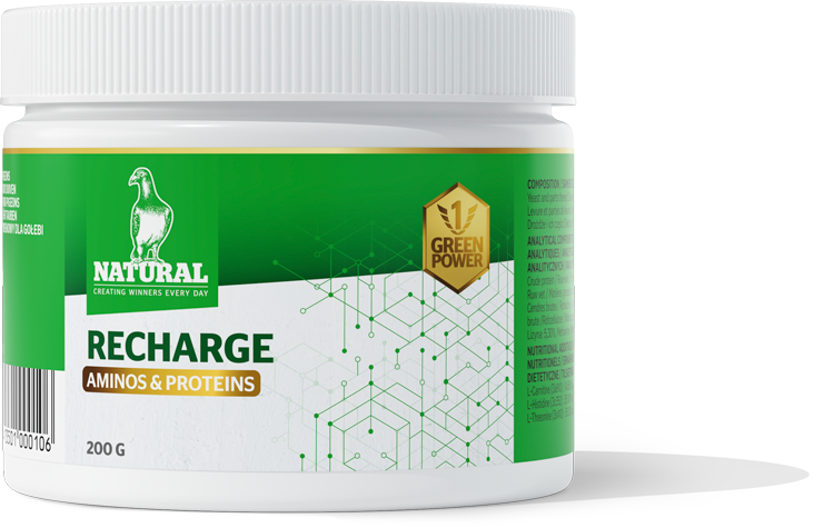 GP Recharge packshot