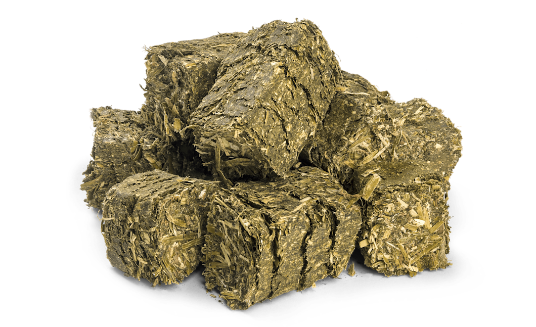 Fiber Wafer foodshot