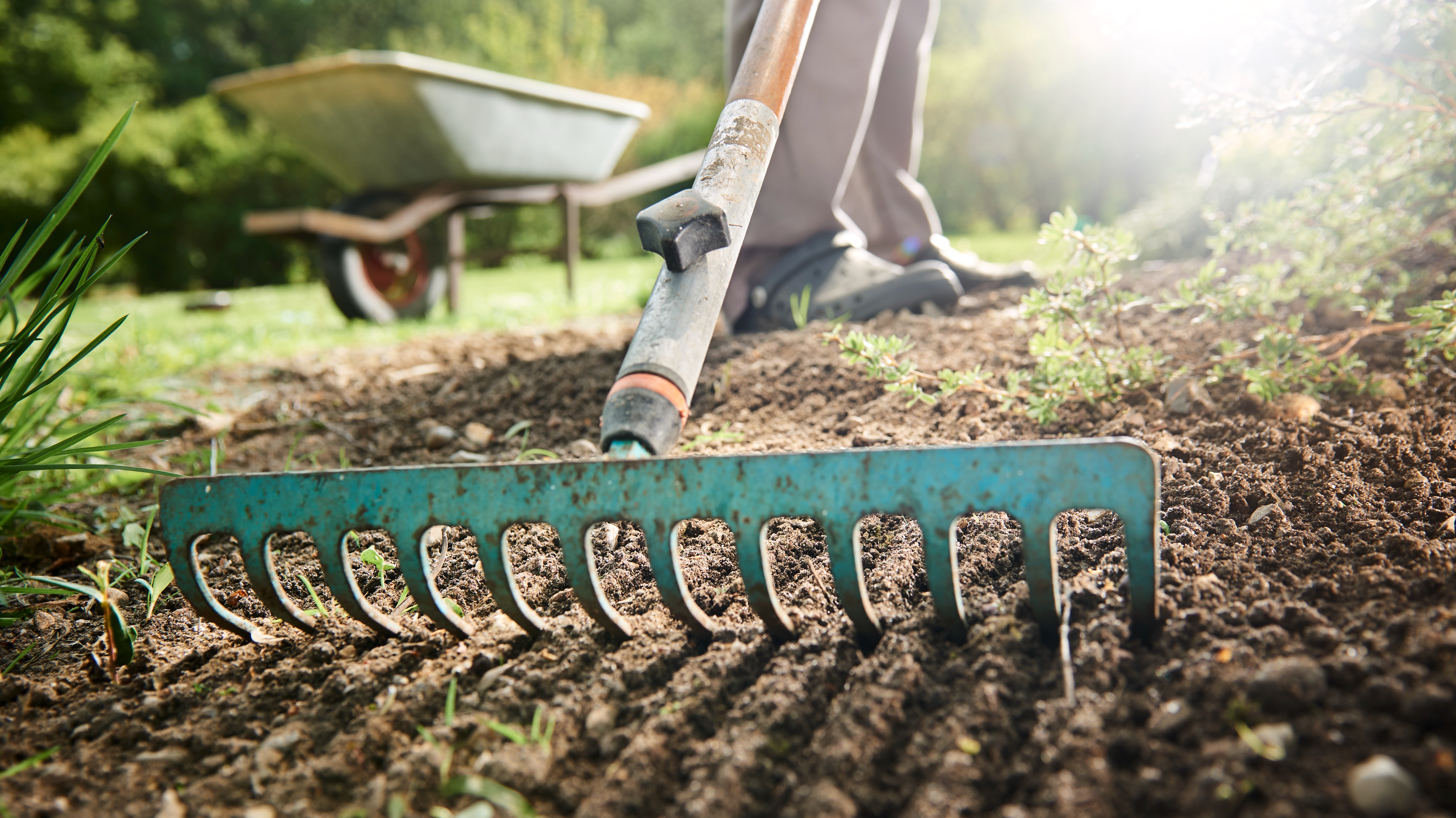 Afbeelding van een man die grond omspit in een moestuin - Aveve