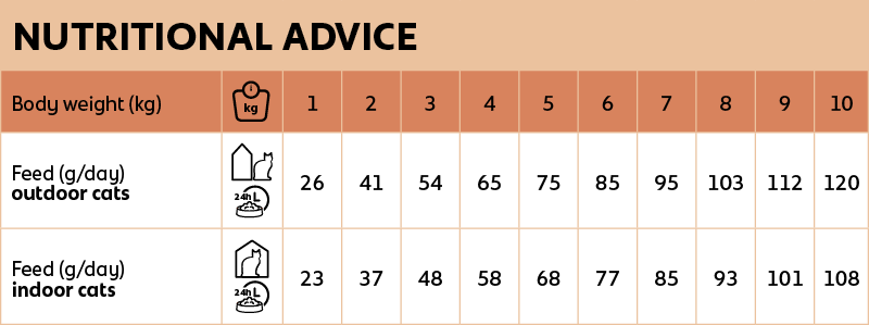 Voedingsadvies new feline adult chicken