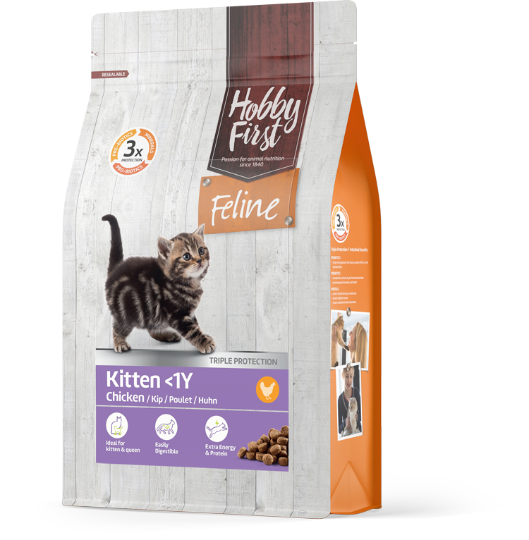 Packshot Feline kitten 