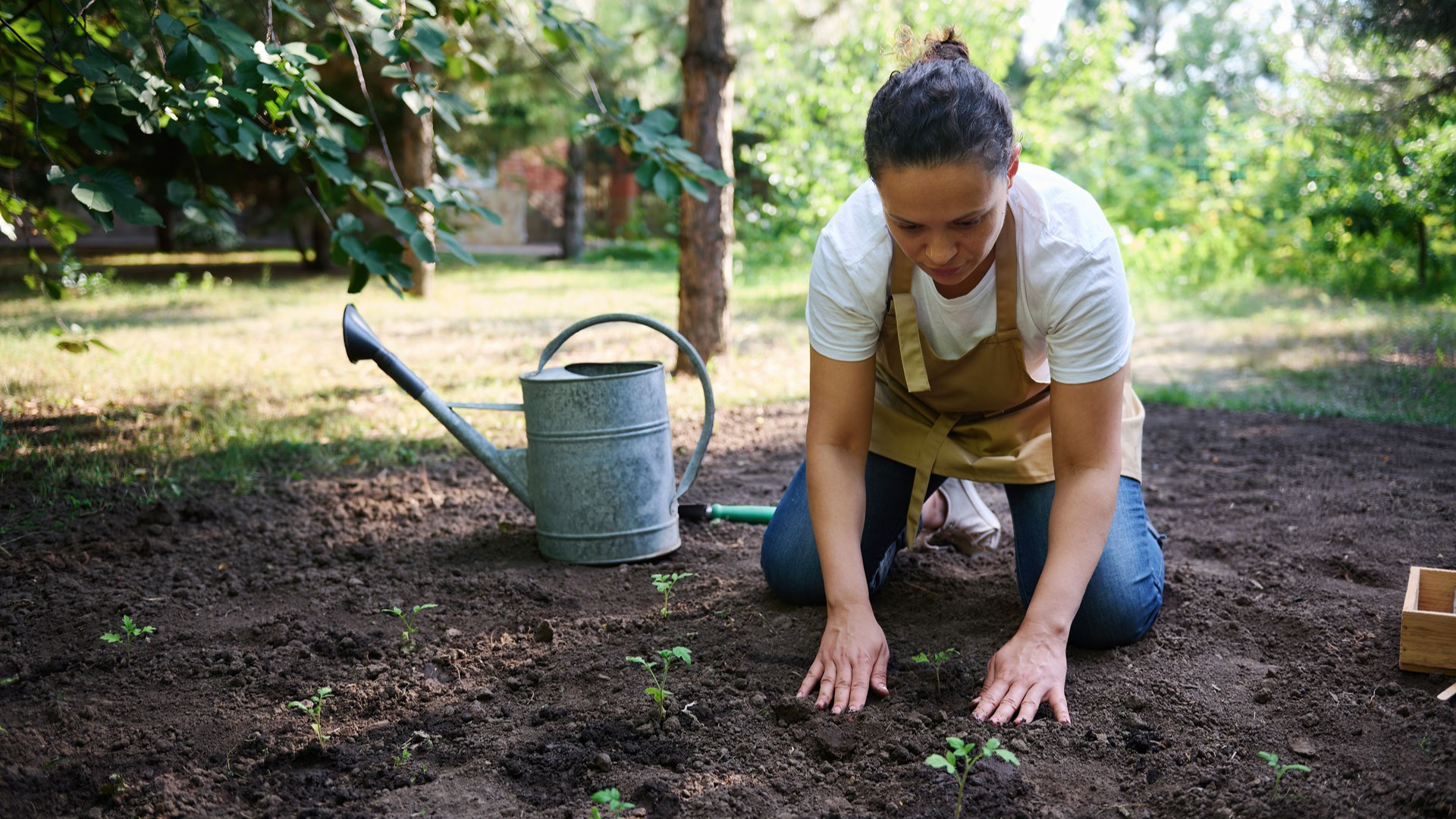 Image d’une femme qui sème des graines dans le potager - Aveve