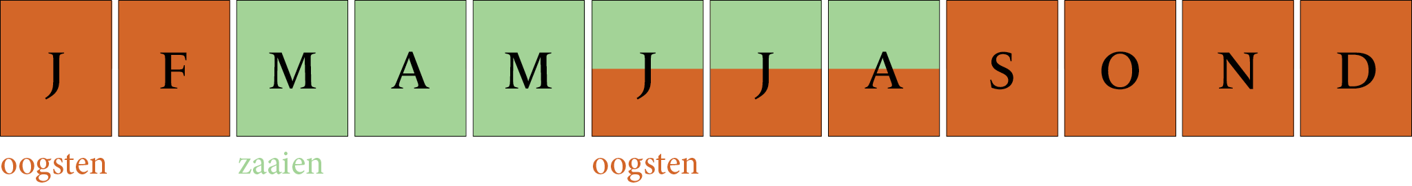 Toepassingsperiode: Broccoli romanesco