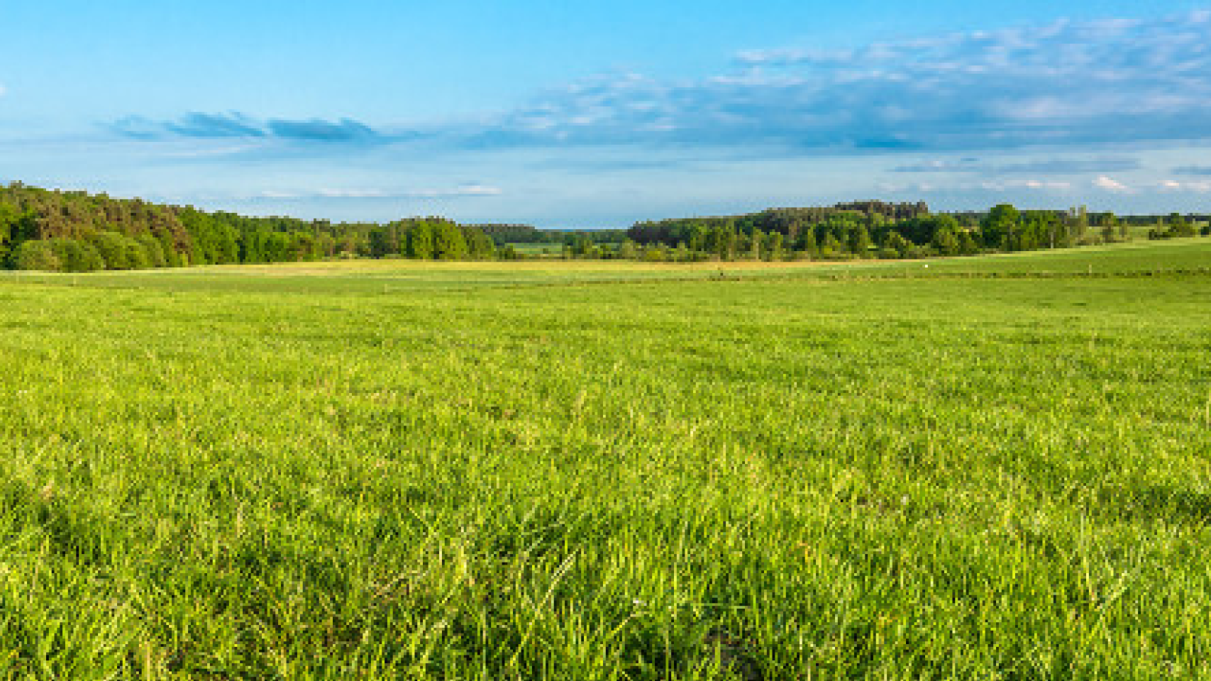 Grasland banner 1280x720px