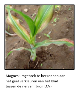 De kracht van doordacht bemesten in maïs I&T2